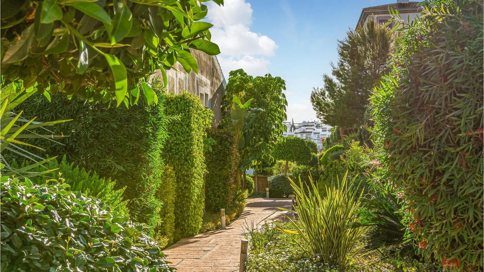 Amazing Apartment In Estepona